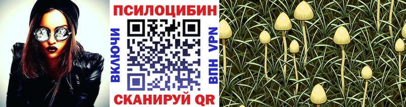 купить закладку  Братск  Галлюциногенные грибы Psilocybine cubensis 